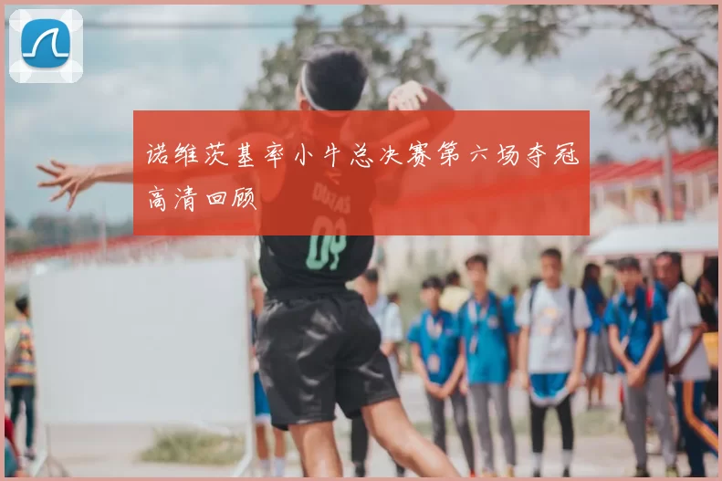 诺维茨基率小牛总决赛第六场夺冠高清回顾