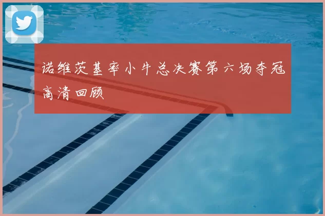 诺维茨基率小牛总决赛第六场夺冠高清回顾